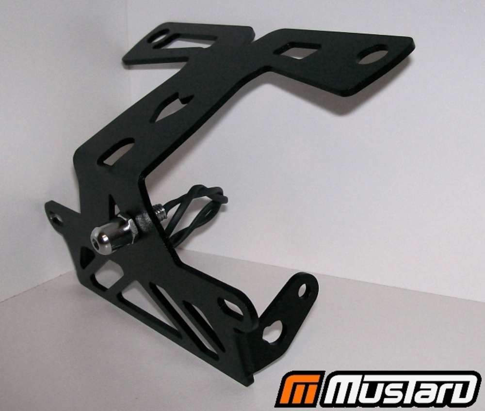 BMW S1000RR & S1000R 20102018 Fender Eliminator Tail tidy eBay