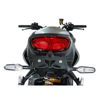 MT-10 2022 Onwards Tail Tidy